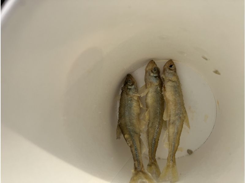 匠・TAKUMI工房 のギャラリー