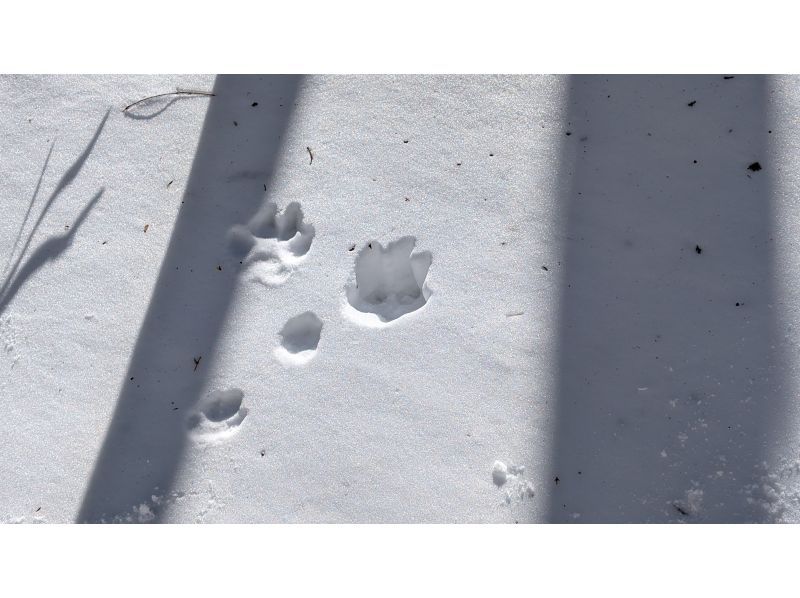 株式会社日光自然博物館 のギャラリー