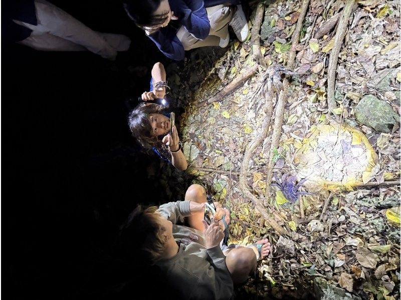 元気玉 のギャラリー