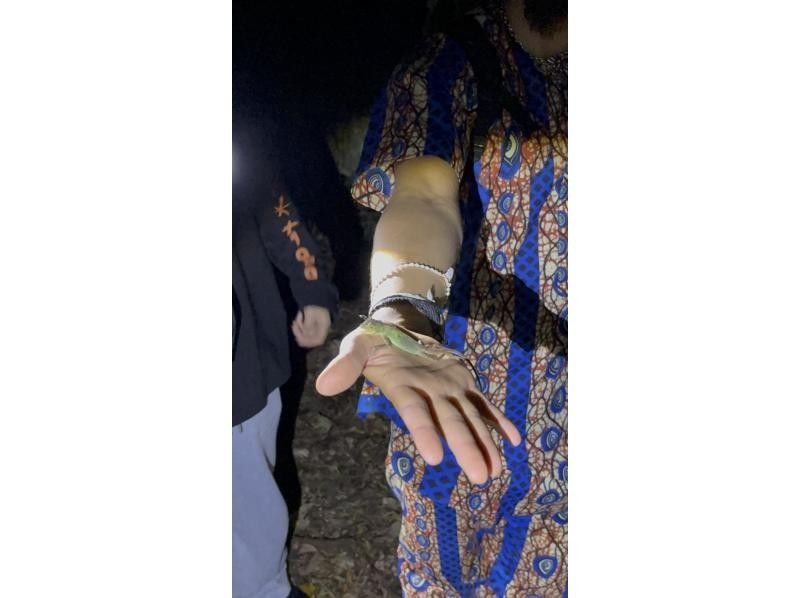 元気玉 のギャラリー