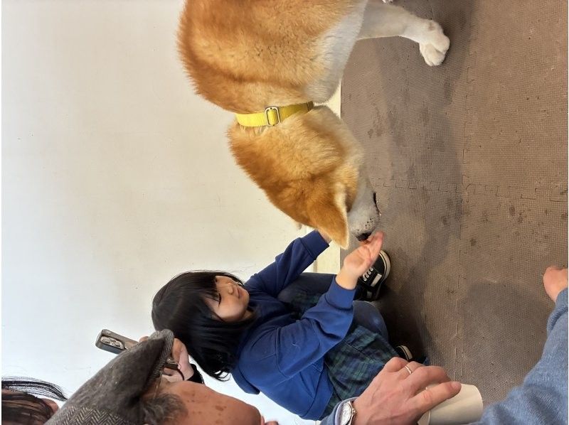 秋田犬caf&eacute; のギャラリー