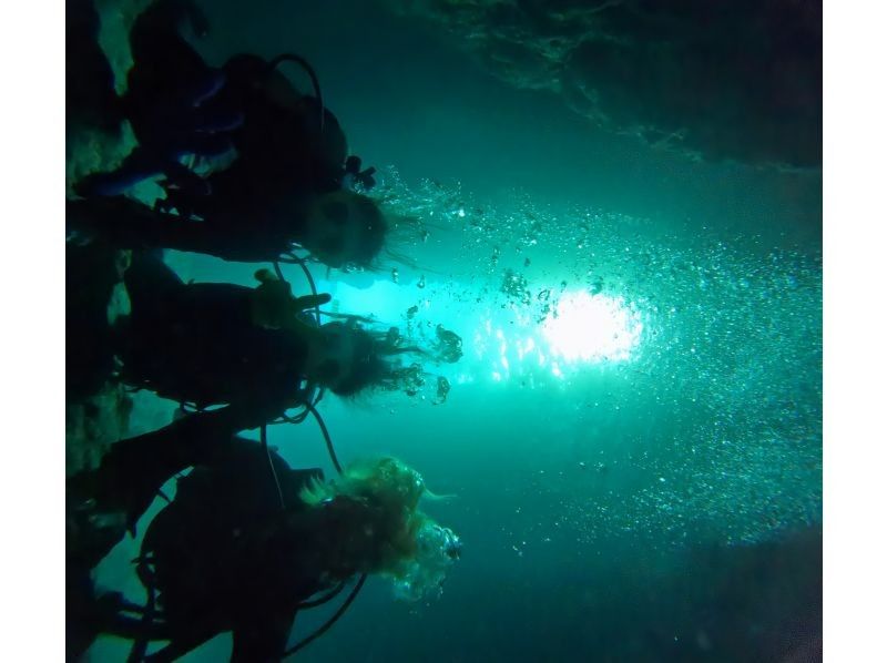 ビーネイチャー(B-nature) のギャラリー