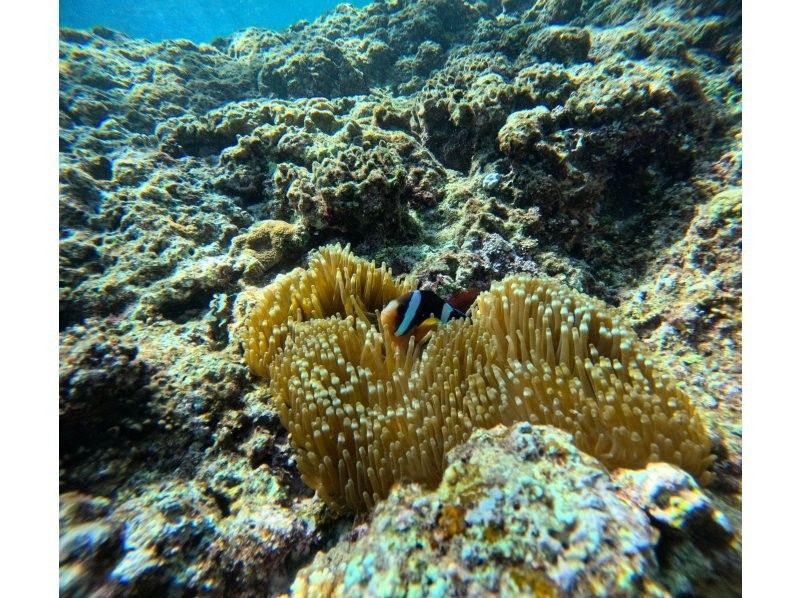 ビーネイチャー(B-nature) のギャラリー