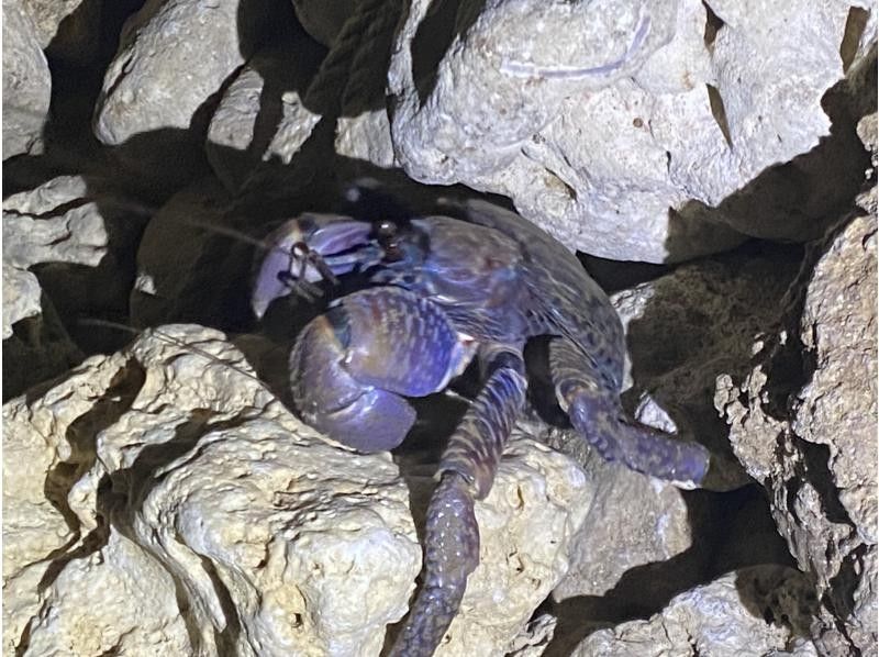 アイナ石垣島 のギャラリー