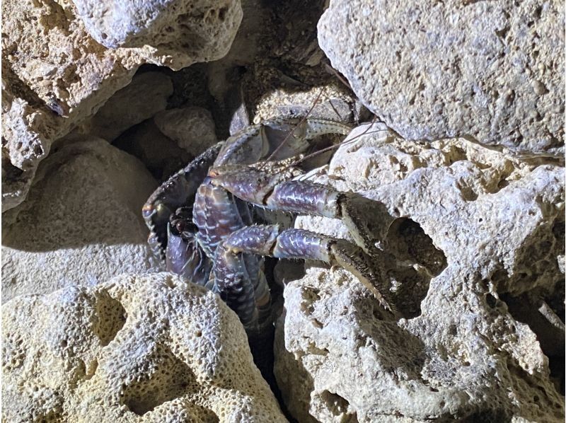 アイナ石垣島 のギャラリー