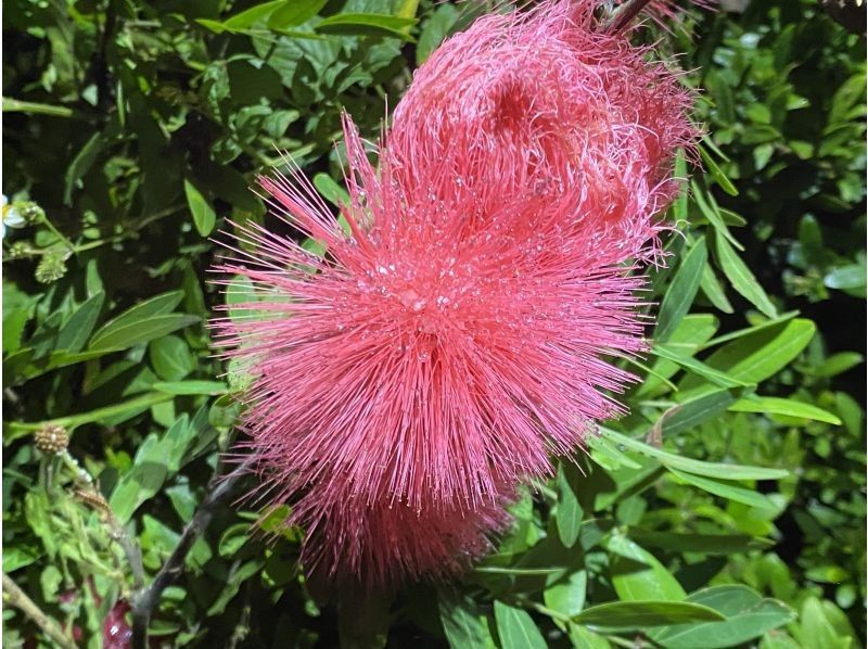 アイナ石垣島 のギャラリー