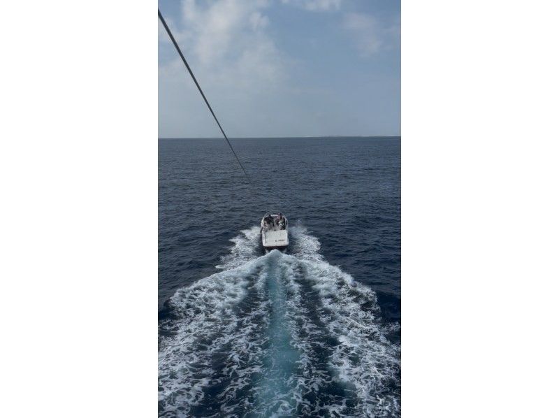 OPG のギャラリー