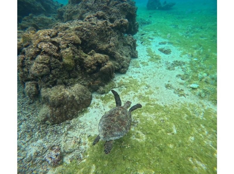 マーレ宮古島 のギャラリー