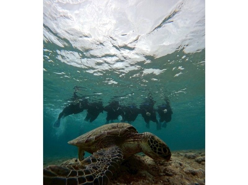 宮古島 ADVENTURE PiPi（ピピ） のギャラリー