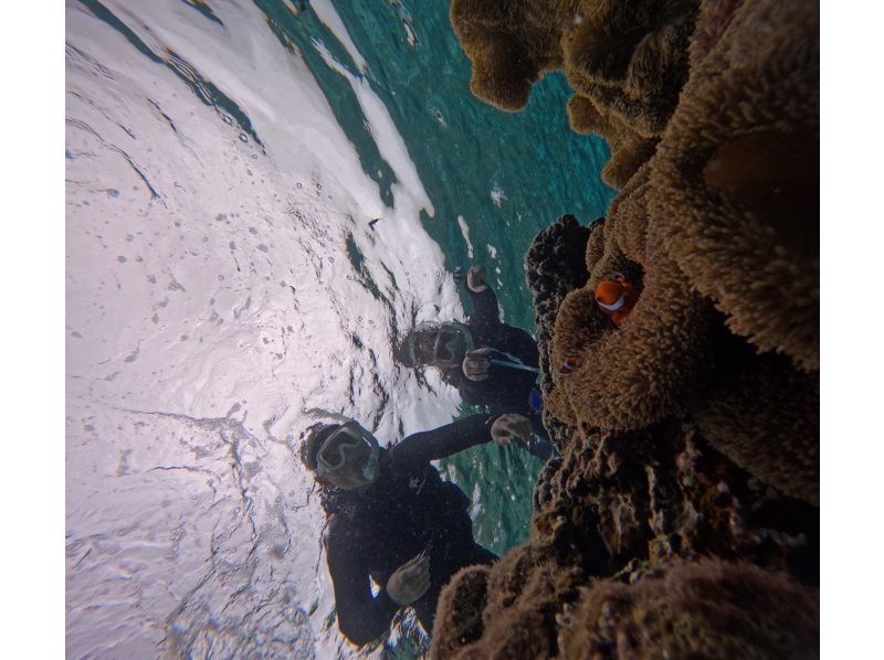 マーレ宮古島 のギャラリー