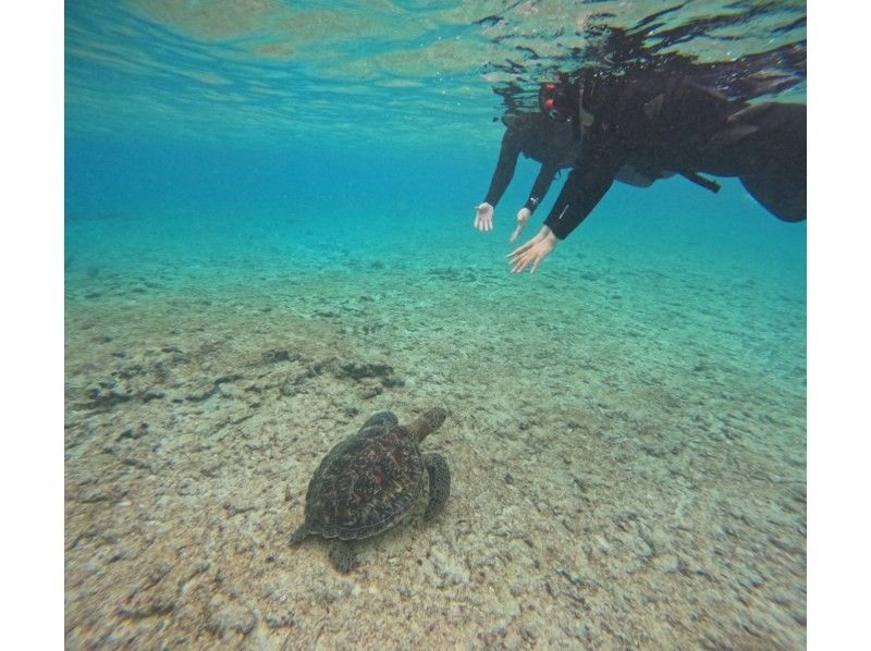 マーレ宮古島 のギャラリー