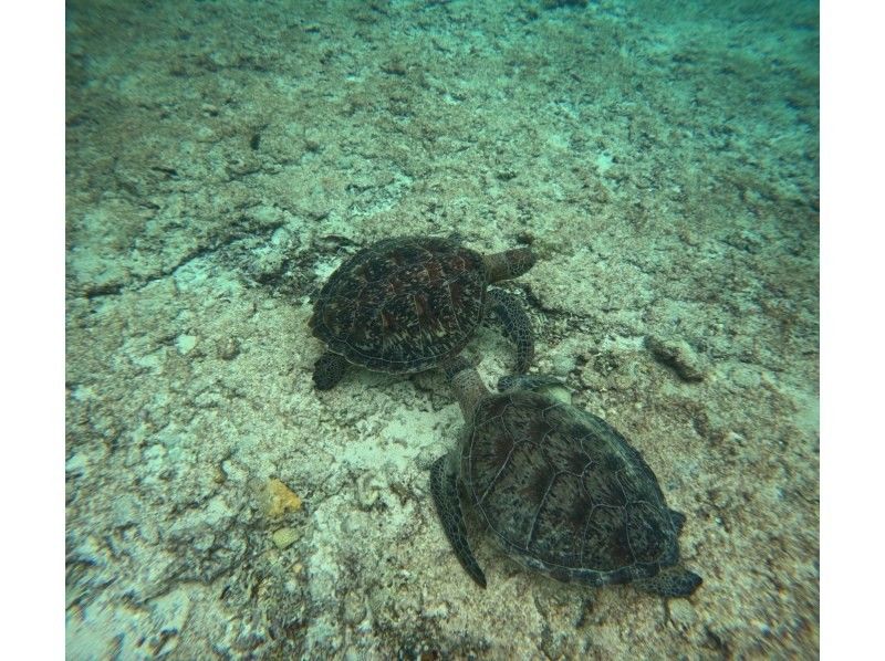 マーレ宮古島 のギャラリー