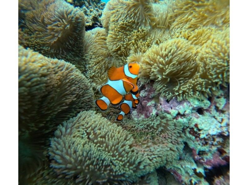 マーレ宮古島 のギャラリー