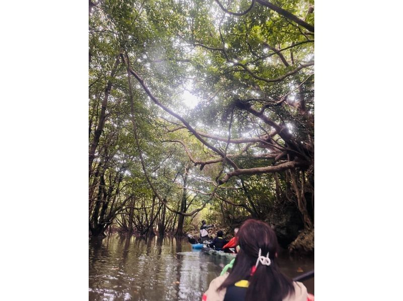 石垣島アクティビティクラブ のギャラリー