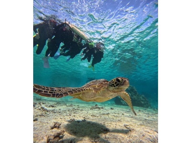 マーレ宮古島 のギャラリー