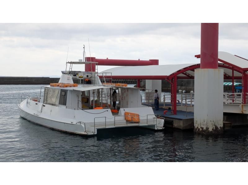 marine shop PETREL(マリンショップペトレル) のギャラリー