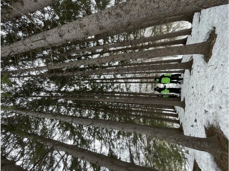 n.s ride のギャラリー