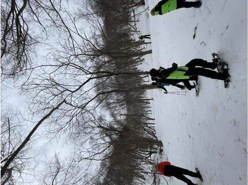 n.s ride のギャラリー