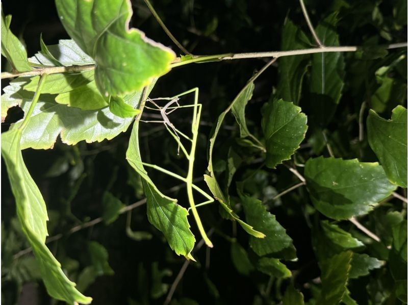 COCO宮古島 のギャラリー