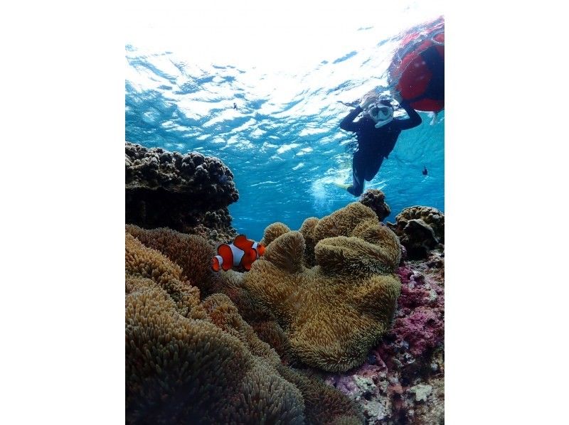 モンキーネイビー のギャラリー