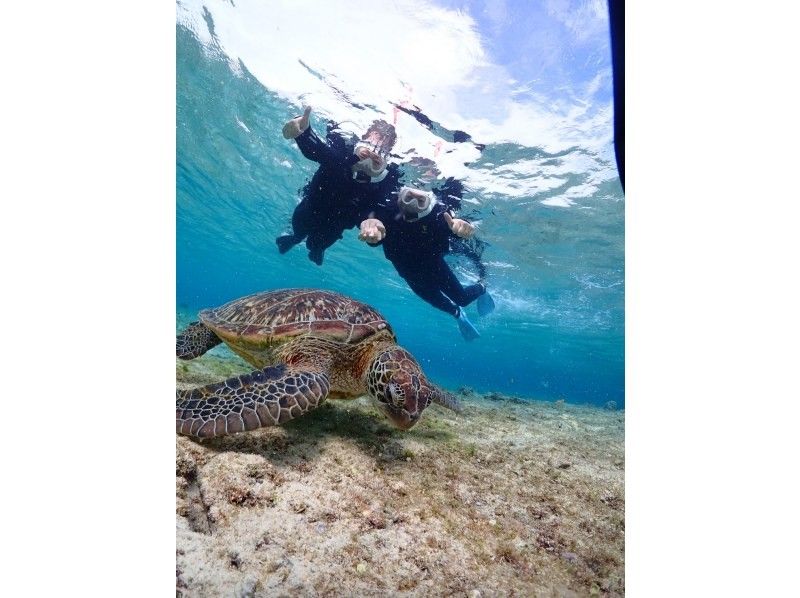 宮古島 ADVENTURE PiPi（ピピ） のギャラリー