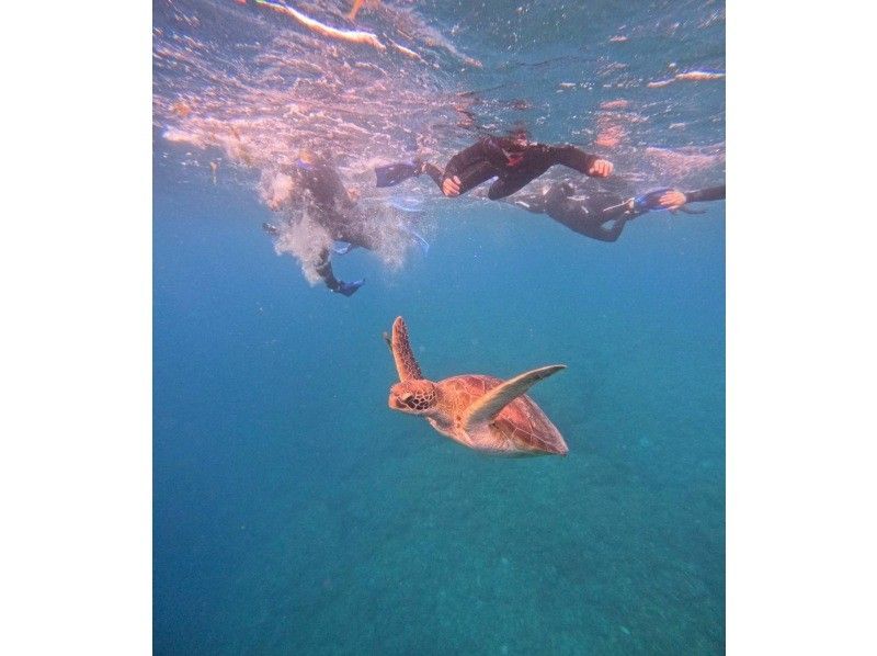 SHISHI石垣島 のギャラリー