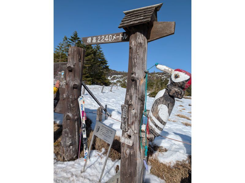 アルプスぼうけん組楽部(Alps Boken Club) のギャラリー