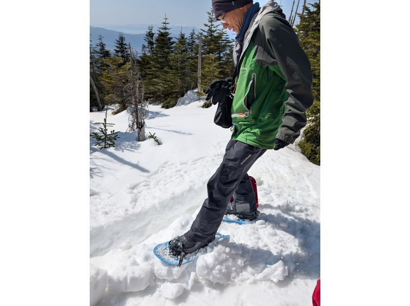 アルプスぼうけん組楽部(Alps Boken Club) のギャラリー