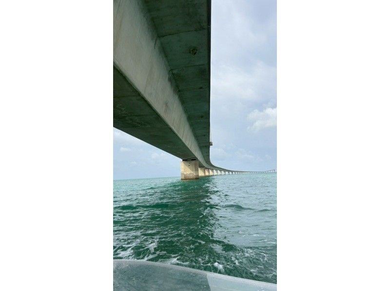 Blue Turtle Ocean Sports のギャラリー