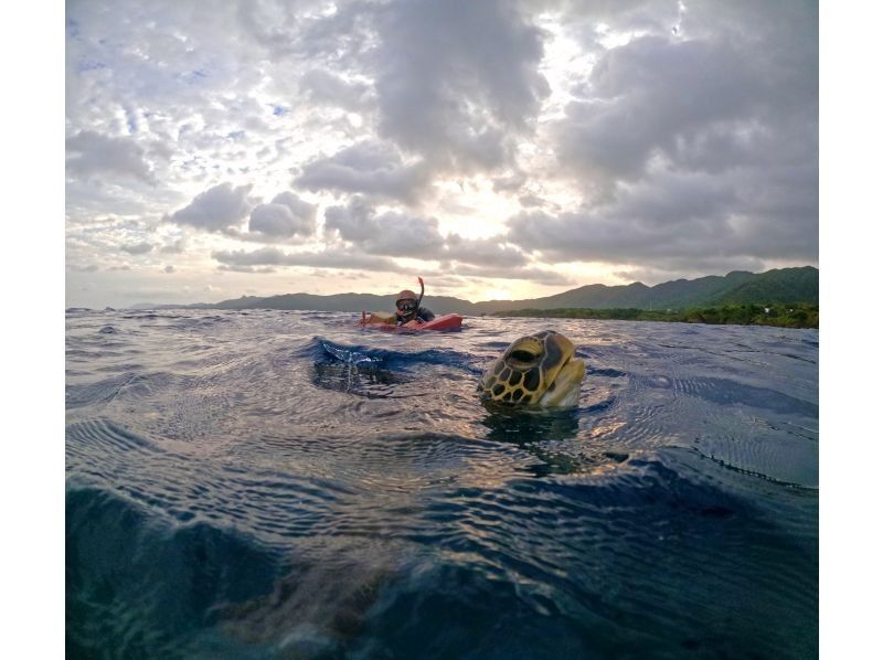 Tomorl のギャラリー