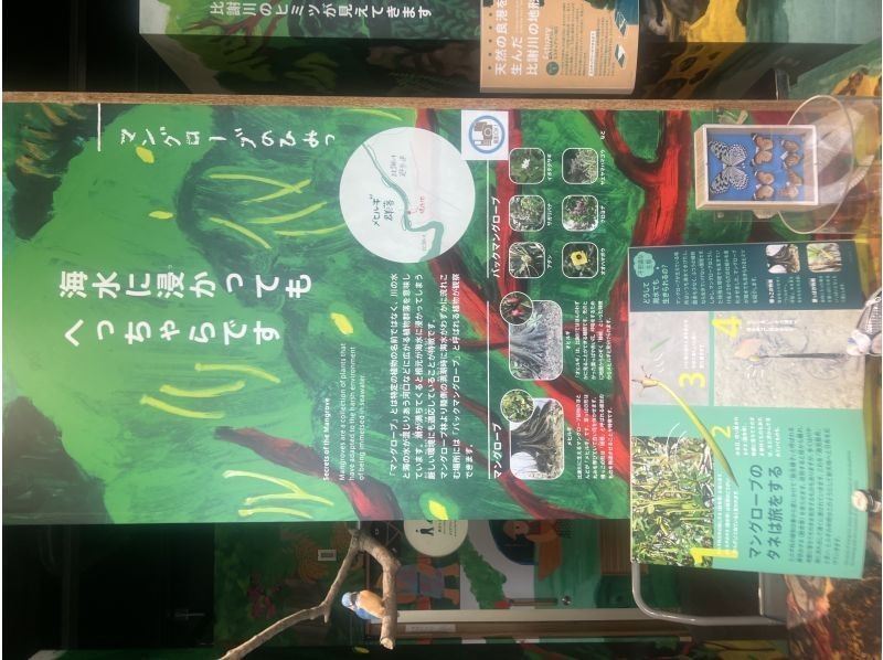 マリンクラブクレア のギャラリー