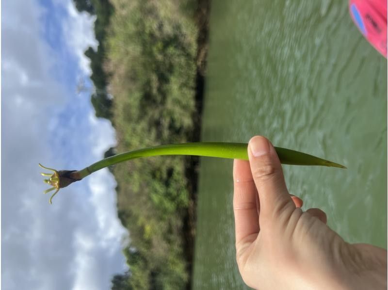 マリンクラブクレア のギャラリー