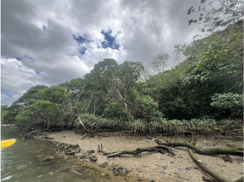 マリンクラブクレア のギャラリー