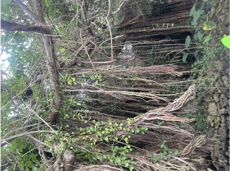 マリンクラブクレア のギャラリー