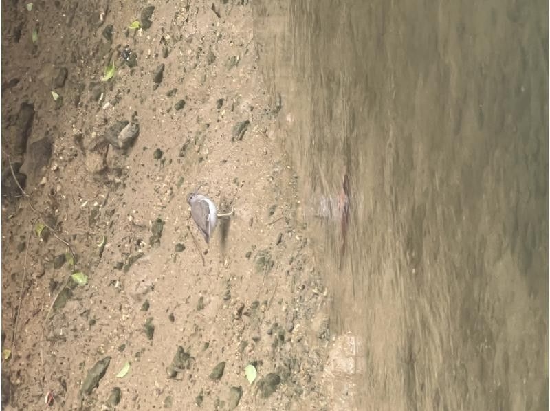 マリンクラブクレア のギャラリー