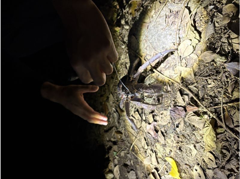 COCO宮古島 のギャラリー