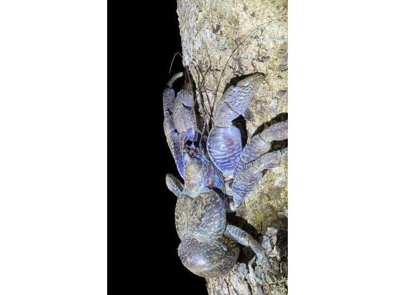 宮古島 ADVENTURE PiPi（ピピ） のギャラリー