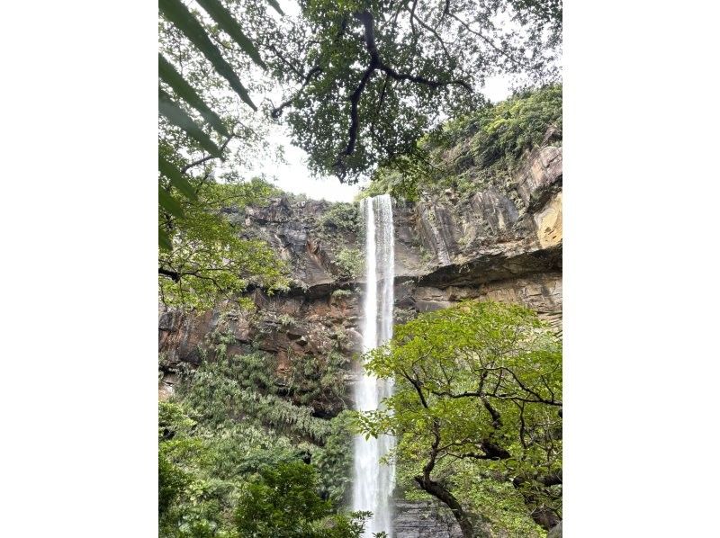 西表島カヌーツアー風車 のギャラリー