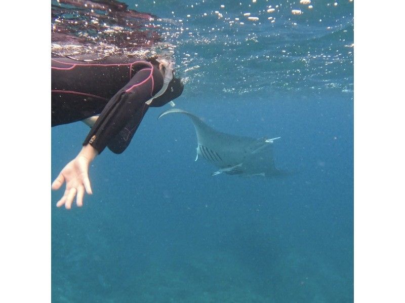 石垣島あいくるシーサー のギャラリー