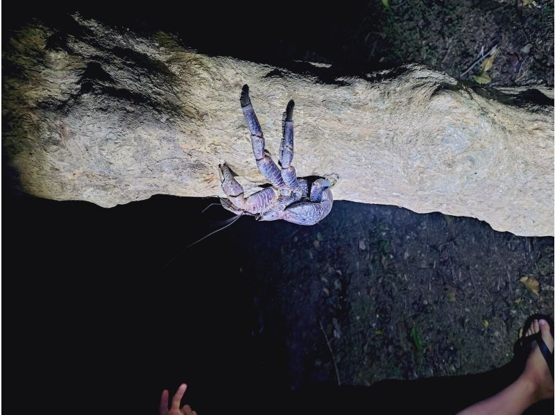 COCO宮古島 のギャラリー