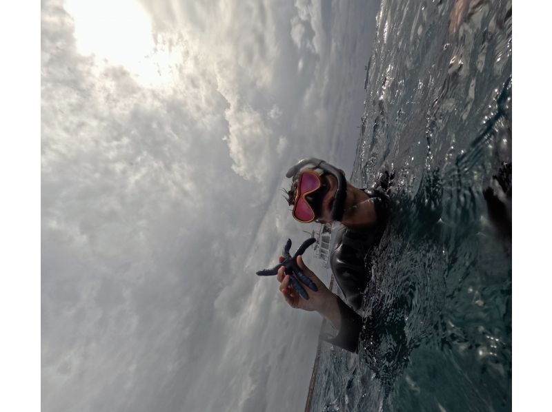 真心ダイバーズ のギャラリー