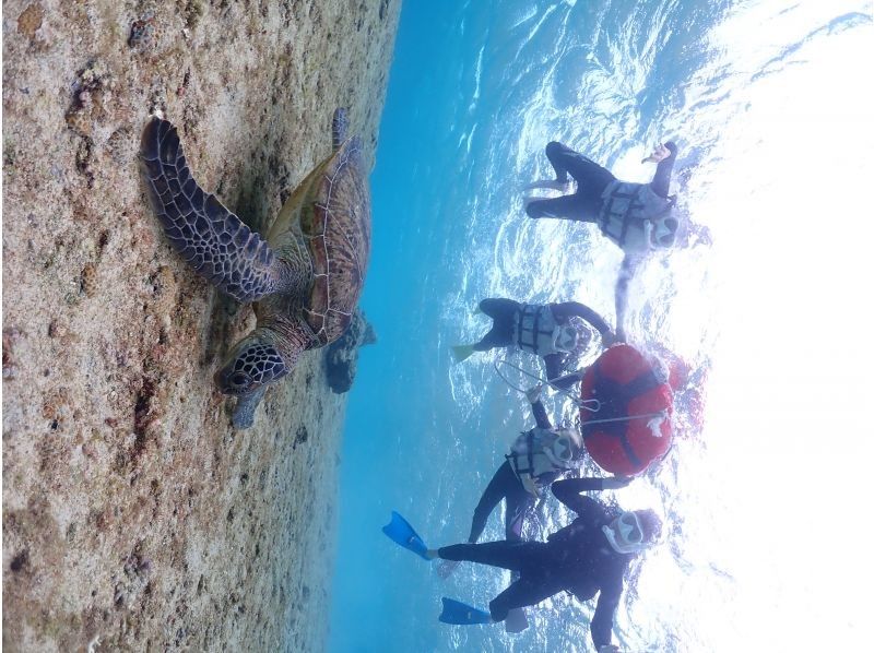 SUNSHINE MARIN 宮古島 のギャラリー