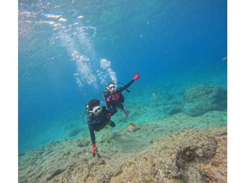 ダイビングショップめんそーれ(Okinawa diving mensore) のギャラリー