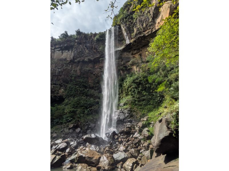 Nilaina Holidays のギャラリー