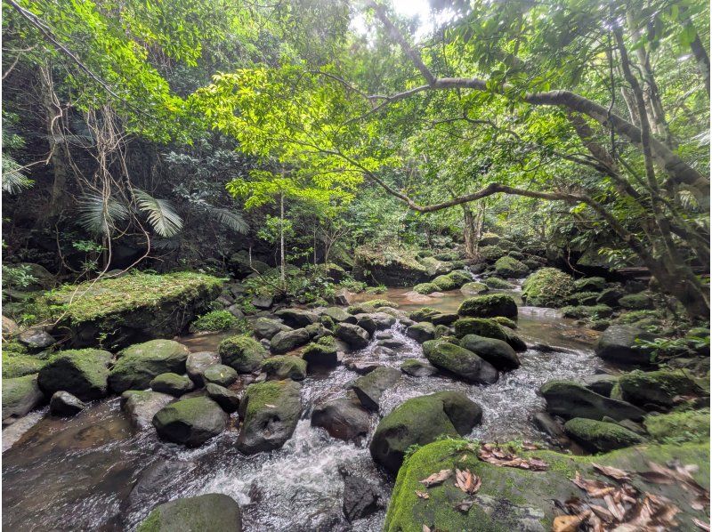 Nilaina Holidays のギャラリー