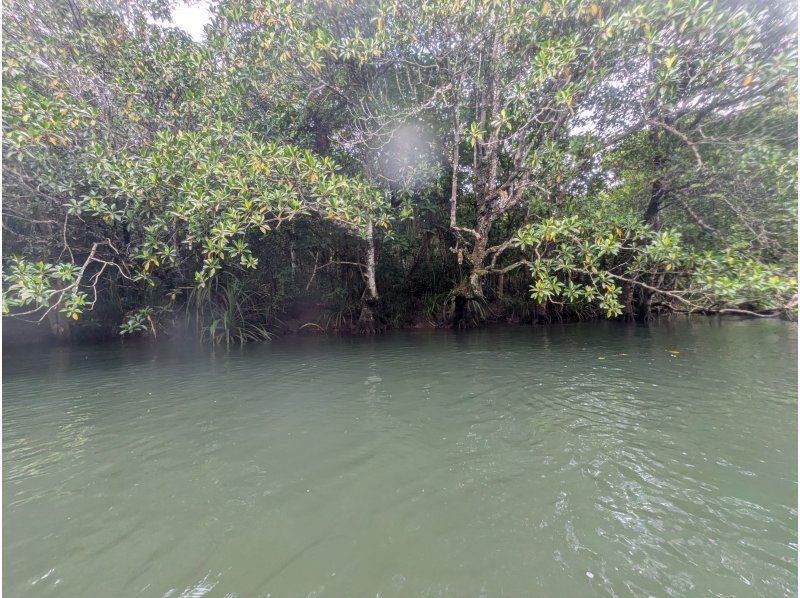 Nilaina Holidays のギャラリー