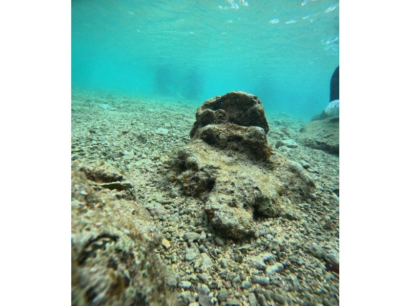 武藤潜水 のギャラリー