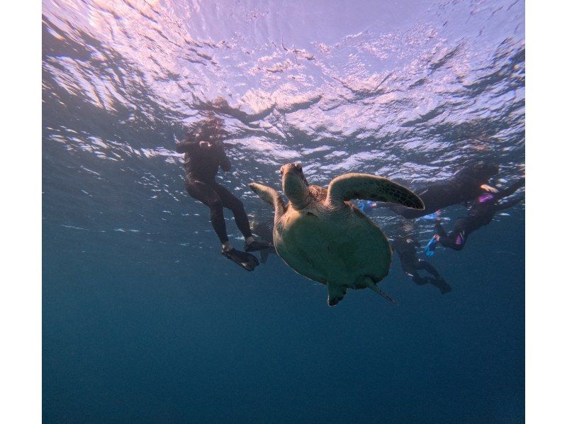 マーレ石垣島 のギャラリー