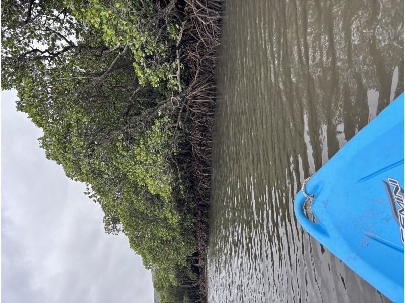 石垣島グランピングリゾートStarOcean のギャラリー