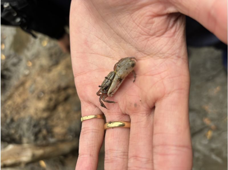 石垣島グランピングリゾートStarOcean のギャラリー